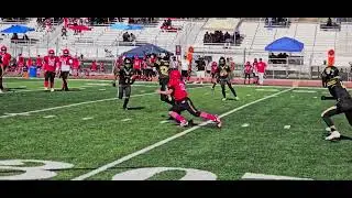 12U Wolves vs bulldogs