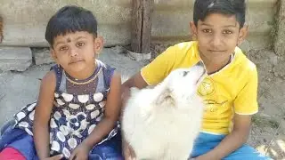 Dog 🐕 Greeting owner after a longtime meet....