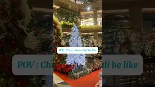 POV you visit Bai During Christmas 🎄 #balibucketlist #balilivin #christmas