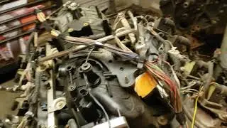 ls harness diy tips