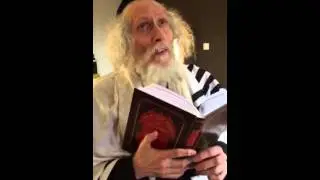 Rabbi Berland shlita Amsterdam English lag baomer