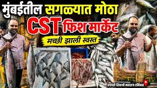 ५०रु. किलोने मासे 😱| मुंबईतील सगळ्यात मोठा होलसेल फिश मार्केट | CSMT Fish Market in Mumbai | Fish 