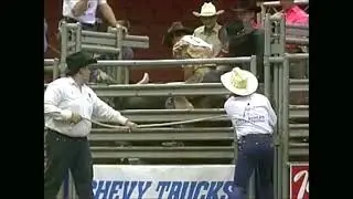 Teddy Bear bucks Dan Lowry - 92 BRO Denver