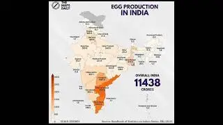 EGG PRODUCTION IN INDIA 🥚🥚🐣🐣....#shorts ..