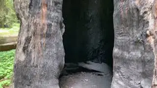 Darkwaterhermit finds another magnificent Gnome Home