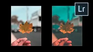 TRANSFORM YOUR PHOTO WITH ONE CLICK - Lightroom Tutorial