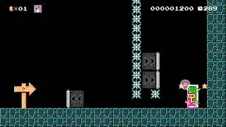 Super Mario Maker 2 - Precision - Slide Line-up