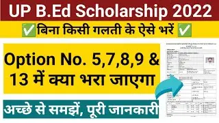 up bed scholarship form kaise bhare| up bed scholarship form 2022| bed scholarship form step by step