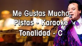 Me Gustas Mucho Pista Karaoke