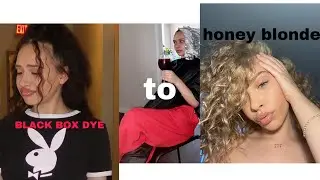 going from box dyed black hair to honey blonde *bleached blonde hair care tips*