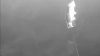 Shad Clone in Action