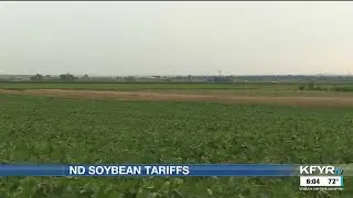 Since Aug. 1 tariffs, ND farmers struggle to sell soybeans