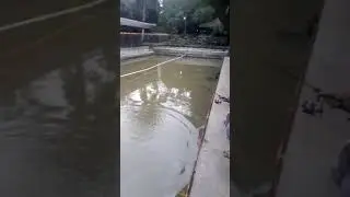Driving mancing villa