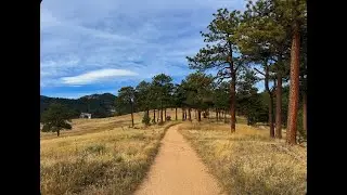 11 Minutes of Running Through Nature 🌲 | 4K Trail Experience with Music. Great background video