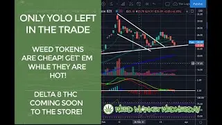 WEED MARKET WEDNESDAY 3 24 21 ETF'S TAKE A BEATING STORE UPGRADES BIG MAC SEEDS AND MORE!
