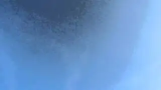 Suzi Janis inverted autorotation
