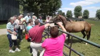 Old Friends Virtual Tour - Game On Dude