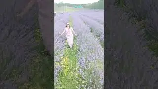 Наслаждайтесь каждым моментом / Лавандовая ферма / #mafevarietyvlogs