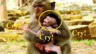 Much Pity Poor Baby Barbie Cry Angry Mom Not Give Him To Walk | Why Blaky Feedeth Her Baby Wrong?