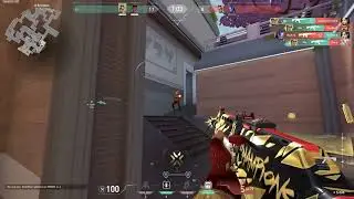 Chamber Defense