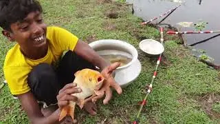 Best Hook Fishing Video 2022 | Little Boy Hunting Big Fish With Hook Beautiful  Nature Part-07