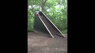 Random stairs in the woods.