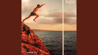 En hj&auml;lte
