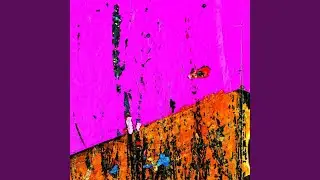 Asterids