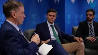 Venezuela&rsquo;s Democratic Unity Platform and the Search for Democratization