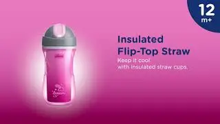 Chicco Insulated Flip-Top Straw Cup