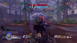 pro Brig*