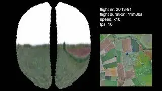 Raycasting Bee Vision Simulation