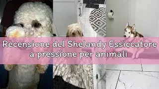 Recensione del Shelandy Essiccatore a pressione per animali 3.2 HP, controllo temperatura e velocit&agrave;