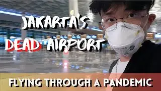 what it takes to FLY TO SINGAPORE DURING COVID-19 PANDEMIC - Travel Vlog (Global Virus Outbreak)