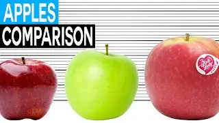 Fruit Size Comparison | Apples