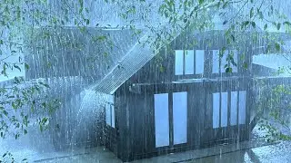 Gradually Into a Deep Sleep with Extremely Strong Rain & Thunder Resounding on the Wild Forest Farm