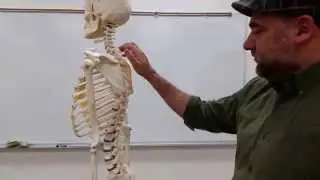 spine and abnormal curvature