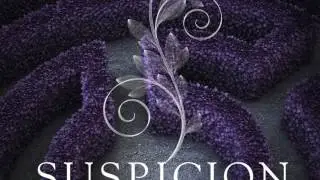 Center of the Maze (Suspicion)