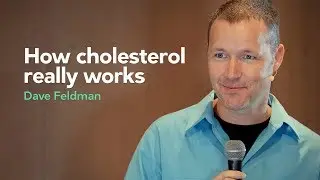 [Preview] How cholesterol really works &ndash; presentation with Dave Feldman