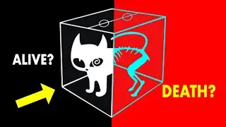 Schr&ouml;dinger's Cat - The Biggest Mystery of Physics is Finally Solved!