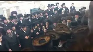 Sanzer Rebbe Dances At His Great Nephew's Wedding - Cheshvan 5783