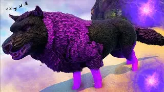 O LOBO SUPREMO &Aacute; PROCURA DE SUA PARCEIRA FORAGIDA! Ark Dinossauros Evolved