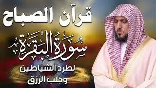 قرآن الصباح | سورة البقرة لحفظ وتحصين المنزل | بصوت الشيخ ماهر المعيقلي - جودة عالية