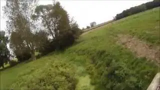 Petite chasse aux lapins et faisans avec Uz&egrave;s, Chipie et Jiulia la petite derni&egrave;re Septembre 2014
