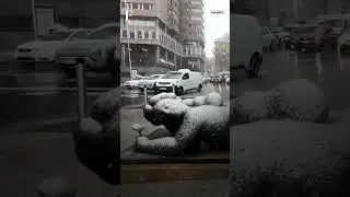 Storm Kristin Brings Rare Snowfall Across Madrid & Iberian Peninsula, Over 2 Dead | N18G