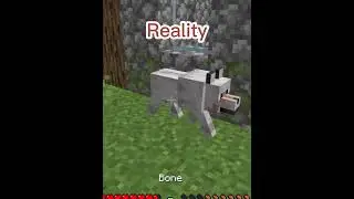 Expectation vs Reality