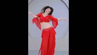 2025 New Style Belly Dance Costume 5075!