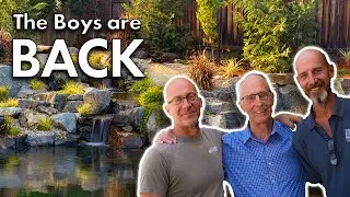 Natural Pool - Two Years Later!