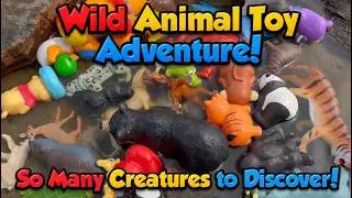 30+ Wild Zoo Animal Toys! 🦁🐘 | Find & Learn Fun Animal Facts for Kids!