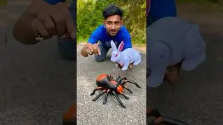 Amr Duita Toys RC Spider 🕷️ and Rabbit 🐇 #unboxing